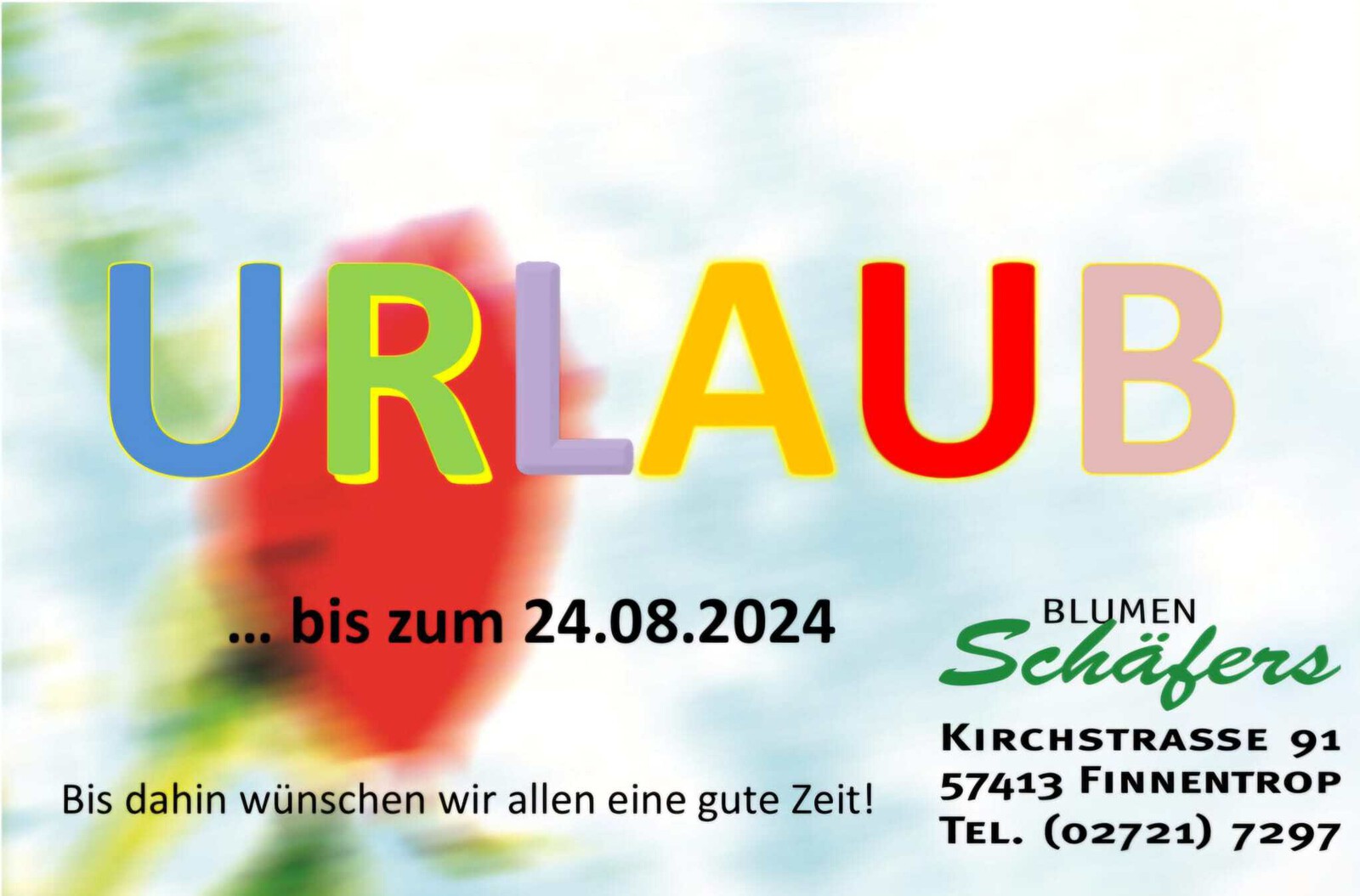 WhatsApp Bild 2024 08 06 um 16.20.14 34835809